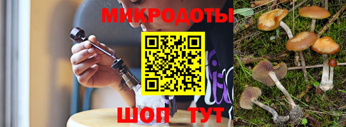 Галлюциногенные грибы Cubensis Кумертау